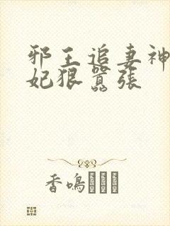 邪王追妻神医狂妃狠嚣张