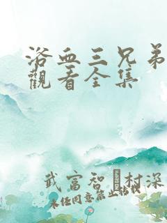 浴血三兄弟免费观看全集