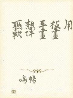 联想平板用什么软件画画