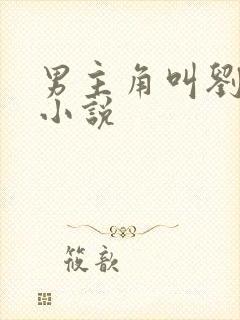 男主角叫刘浩的小说