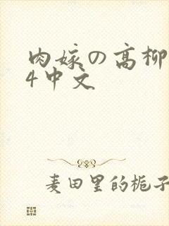 肉嫁の高柳1～4中文