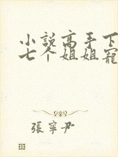 小说高手下山被七个姐姐宠上天免费