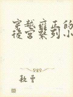 穿越雍正的极品后宫系列小说