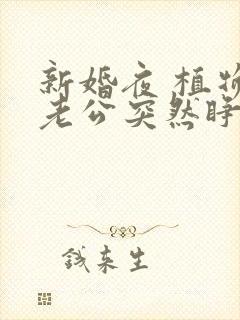 新婚夜 植物人老公突然睁开眼