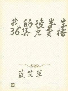 我的后半生1到36集免费播放