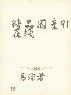 精品国产91一在线