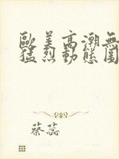 欧美高潮无遮挡猛烈动态图