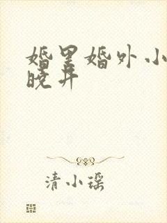 婚里婚外小说叶晓井