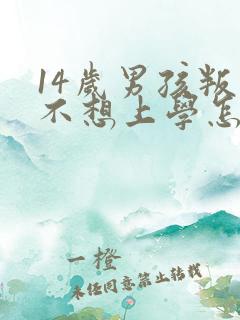 14岁男孩叛逆不想上学怎么办