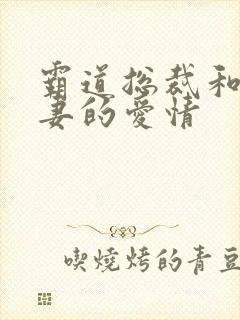 霸道总裁和小娇妻的爱情