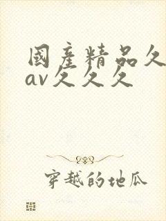 国产精品久久久av久久久