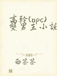 高干(npc)双男主小说