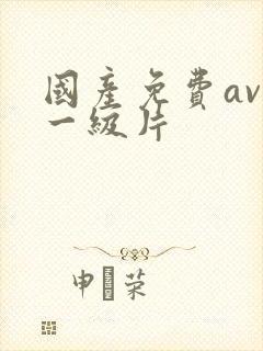 国产免费av.一级片