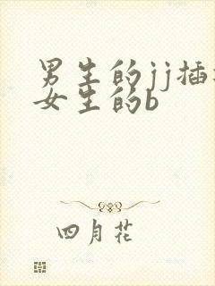 男生的jj插进女生的b