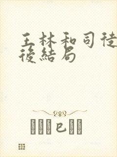 王林和司徒南最后结局