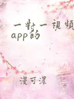 一对一视频聊天app的