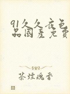 91久久夜色精品国产免费