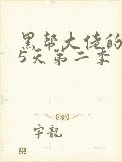 黑帮大佬的365天第二季