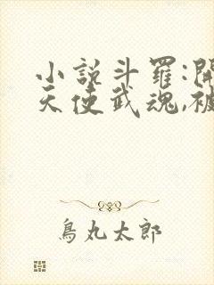 小说斗罗:开局天使武魂,被唐昊追杀更新