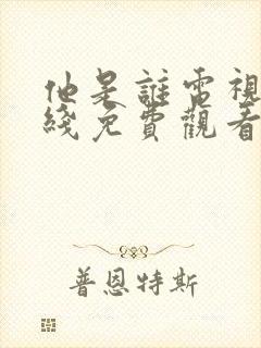 他是谁电视剧在线免费观看全集