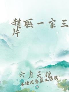 赵联一家三口照片