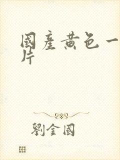 国产黄色一级大片