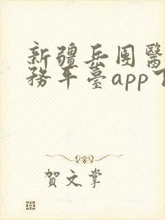 新疆兵团医保服务平台app下载