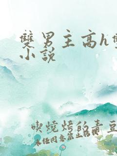 双男主高h双性小说