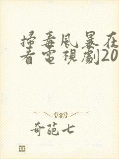 扫毒风暴在线观看电视剧2025