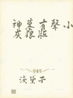 神墓有声小说大灰狼版