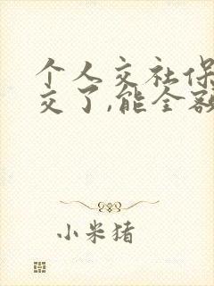 个人交社保不想交了,能全额退款吗