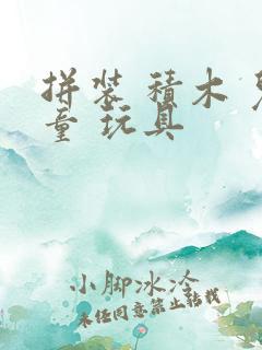 拼装 积木 儿童 玩具