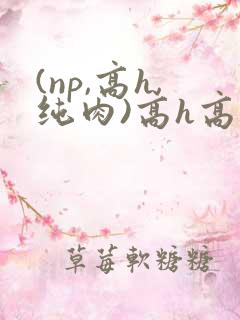 (np,高h,纯肉)高h高辣小说