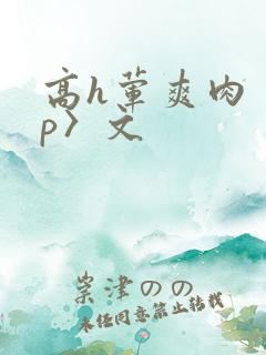 高h荤爽肉〈np〉文