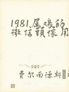 1981属鸡的微信头像用什么好