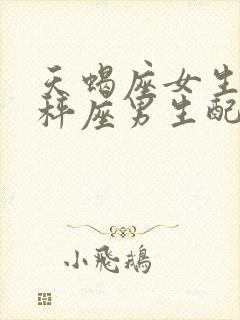 天蝎座女生和天秤座男生配对指数