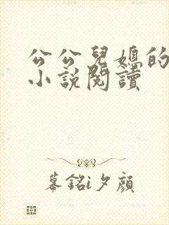公公儿媳的恋情小说阅读