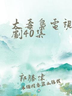 大毒枭电视连续剧40集