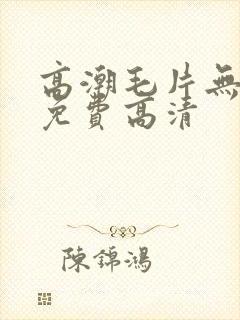 高潮毛片无遮挡免费高清