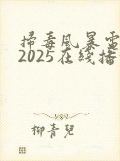 扫毒风暴电视剧2025在线播放免费观看全集