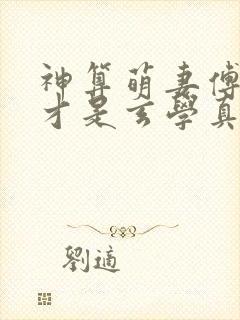 神算萌妻傅太太才是玄学真大佬锦朝朝傅霆渊