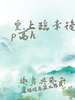 皇上临幸后宫np高h