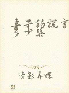 妻子的谎言共有多少集