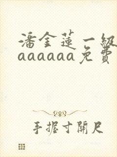 潘金莲一级淫片aaaaaa免费