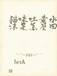 猫咪吐黄水带泡沫是怎么回事