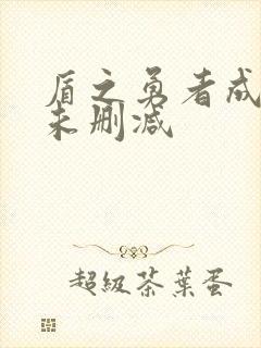 盾之勇者成名录未删减