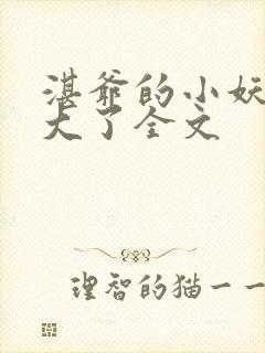 湛爷的小妖精长大了全文