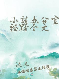 小说办公室隐婚轻黯全文