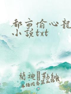 都市偷心龙爪手小说txt
