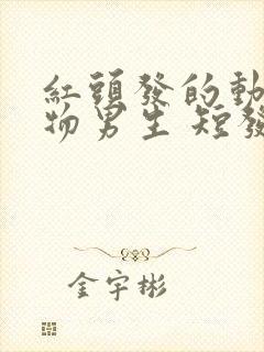 红头发的动漫人物男生 短发寸头